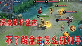 老鸟王者爆料视频大全,视频大全中的电竞高手传奇  第2张